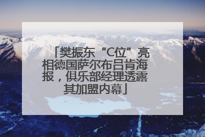 樊振东“C位”亮相德国萨尔布吕肯海报，俱乐部经理透露其加盟内幕